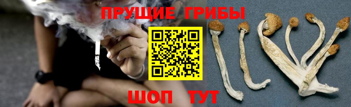 Псилоцибиновые грибы GOLDEN TEACHER Новый Уренгой